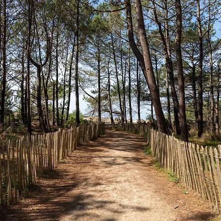 Cosy à - 4 Pers, Centre-ville, Parking, Balcon, Ménage Inclus - Fr-1-319-445 Apartamento *