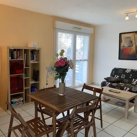 Cosy A - 4 Pers, Centre-ville, Parking, Balcon, Menage Inclus - Fr-1-319-445 דירה ביסקארוס